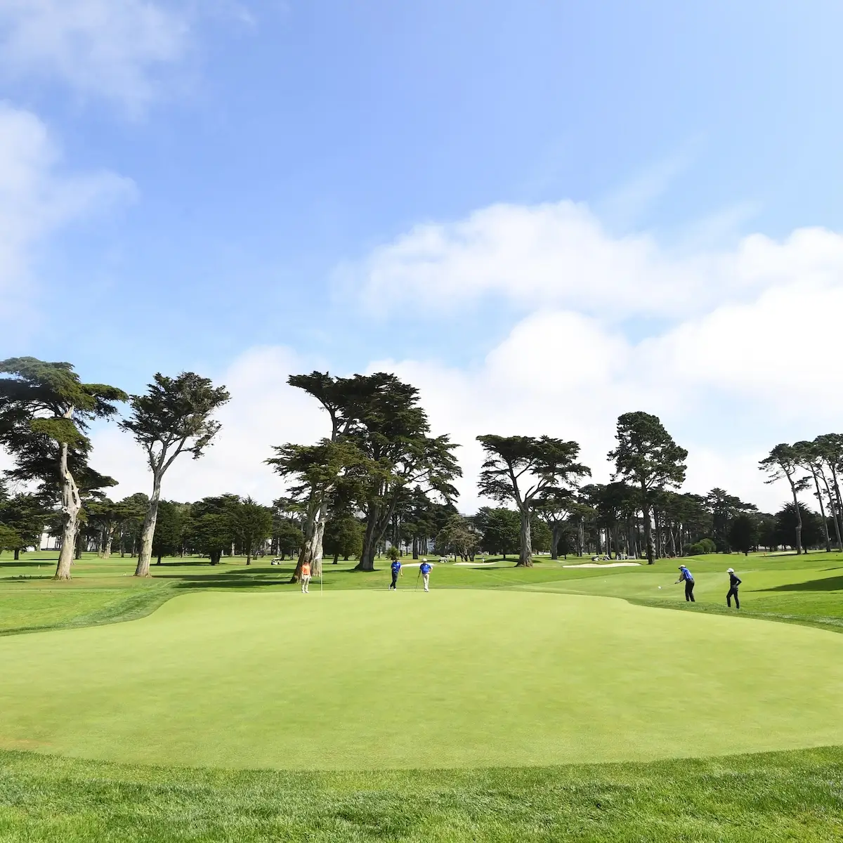 TPC Harding Park
