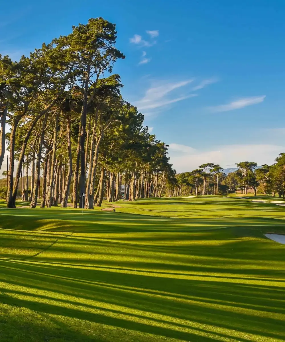 TPC Harding Park