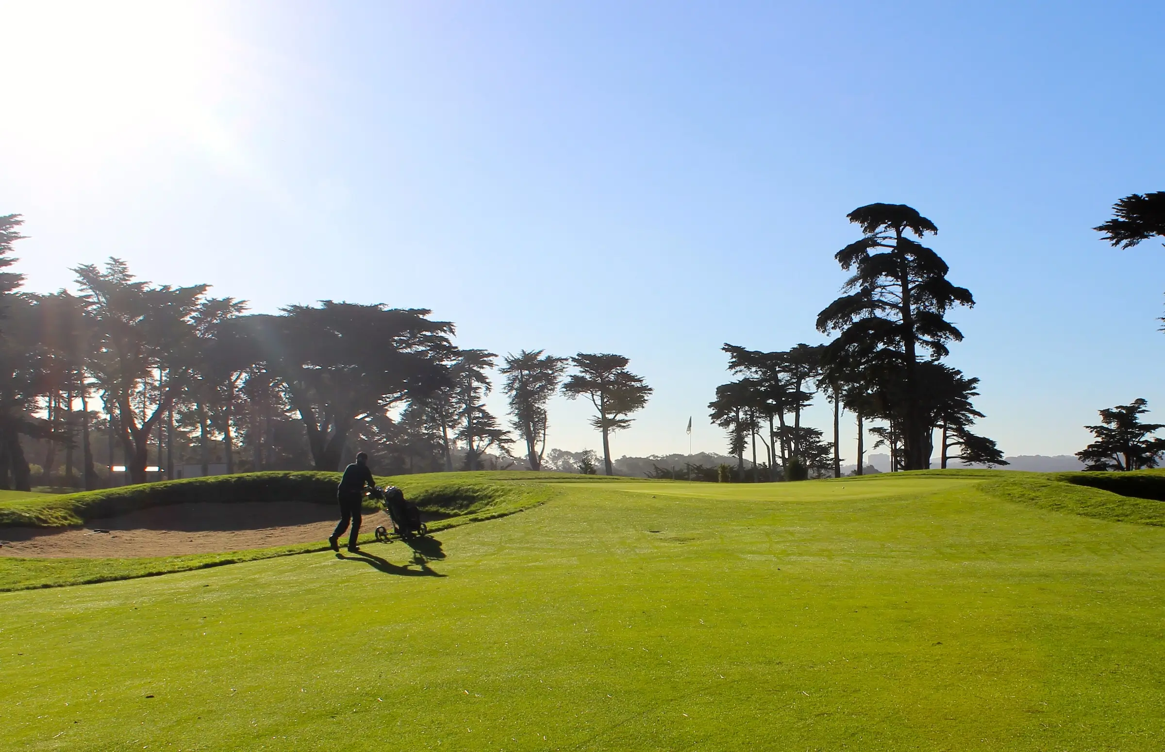TPC Harding Park