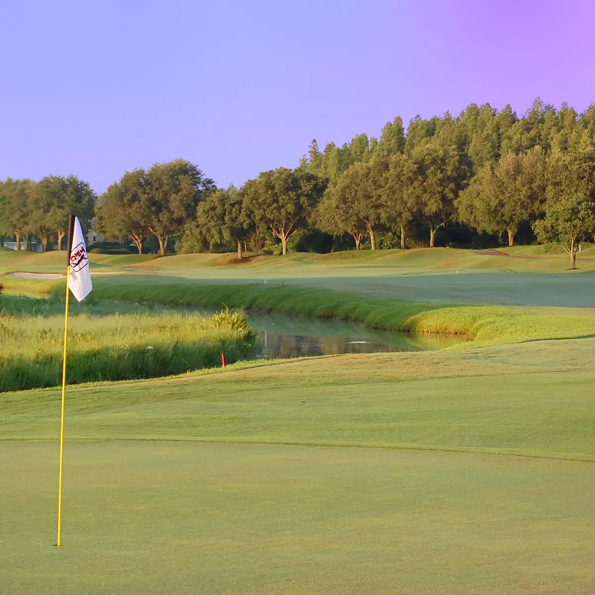 TPC Tampa Bay