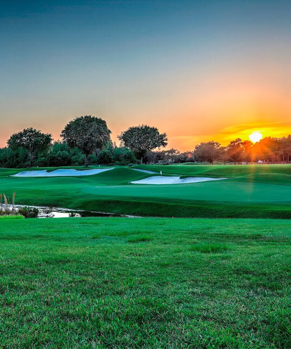 TPC Tampa Bay