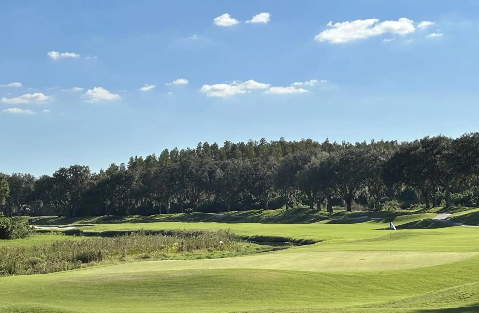 TPC Tampa Bay