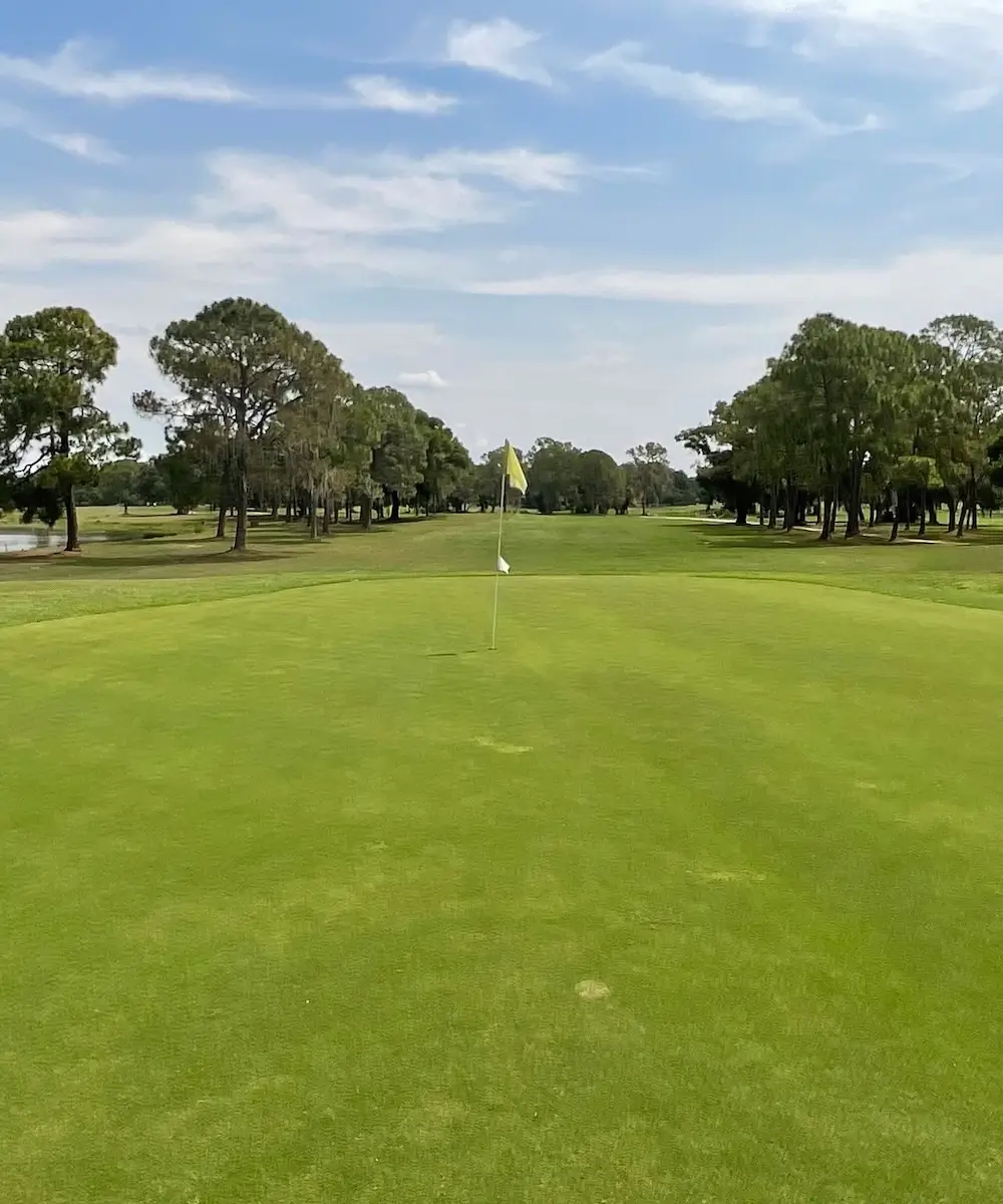 The Eagles Golf Club