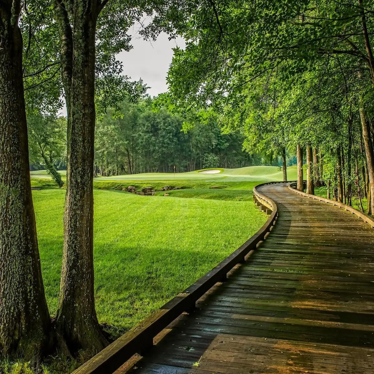 The Golf Club of Georgia
