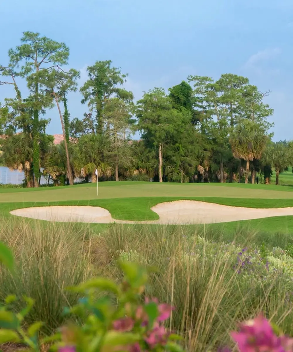 The Rookery at Marco