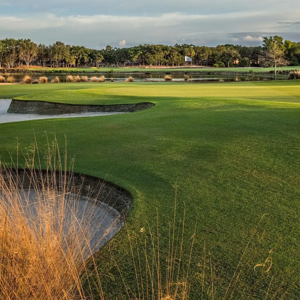 Tiburón Golf Club