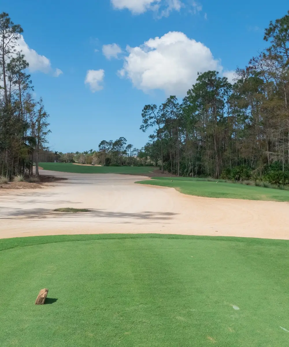 Tiburón Golf Club