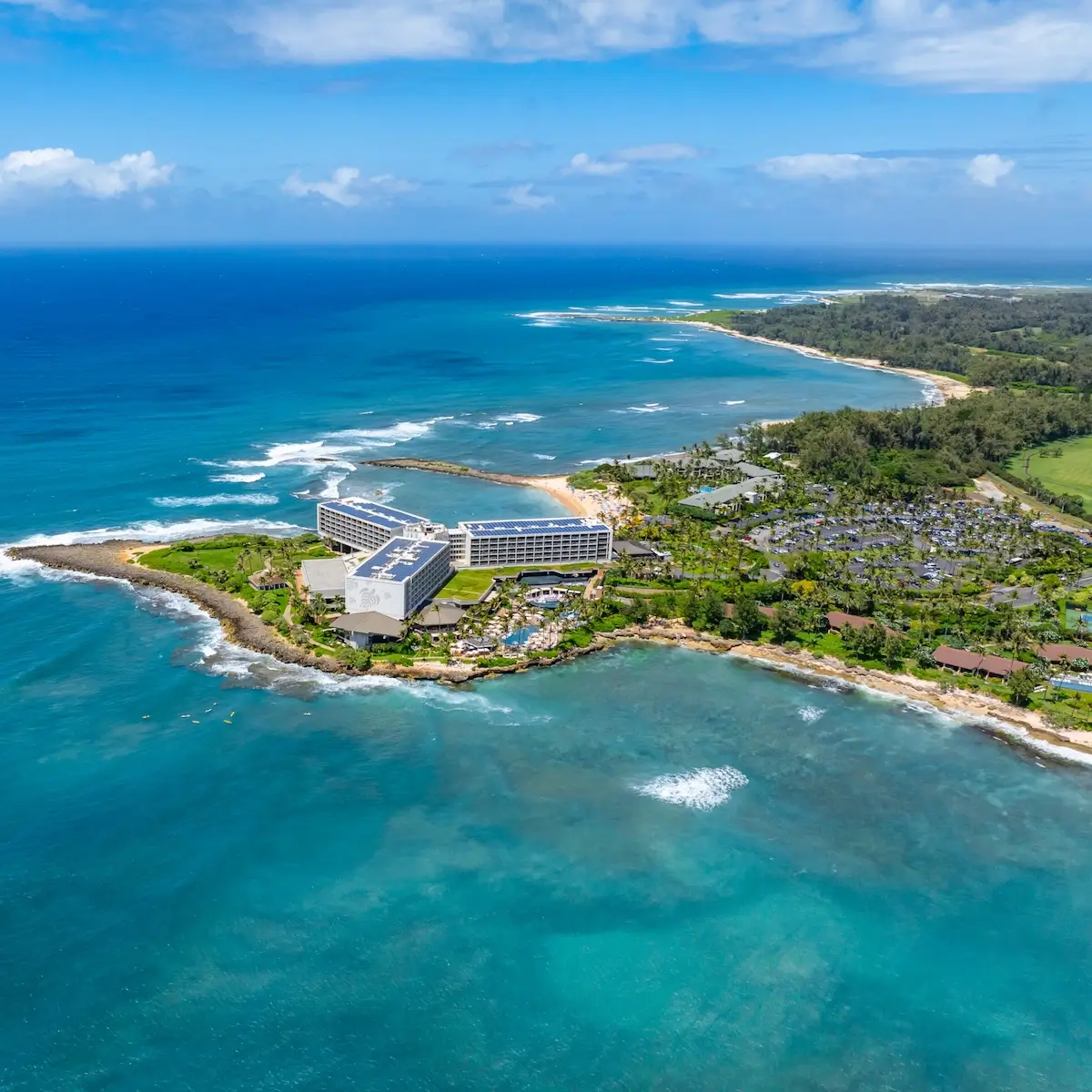Turtle Bay Golf
