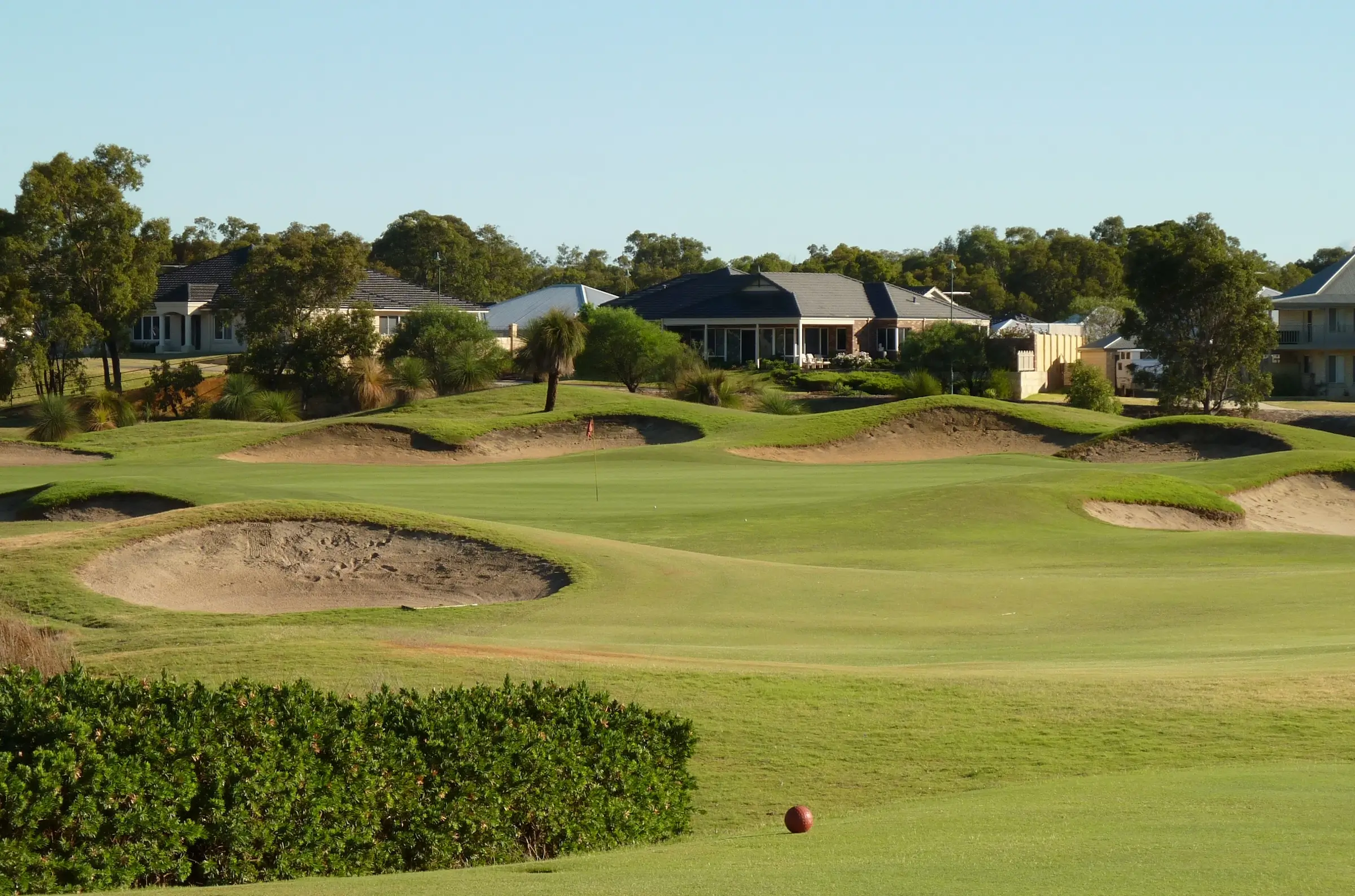 The Vines Resort