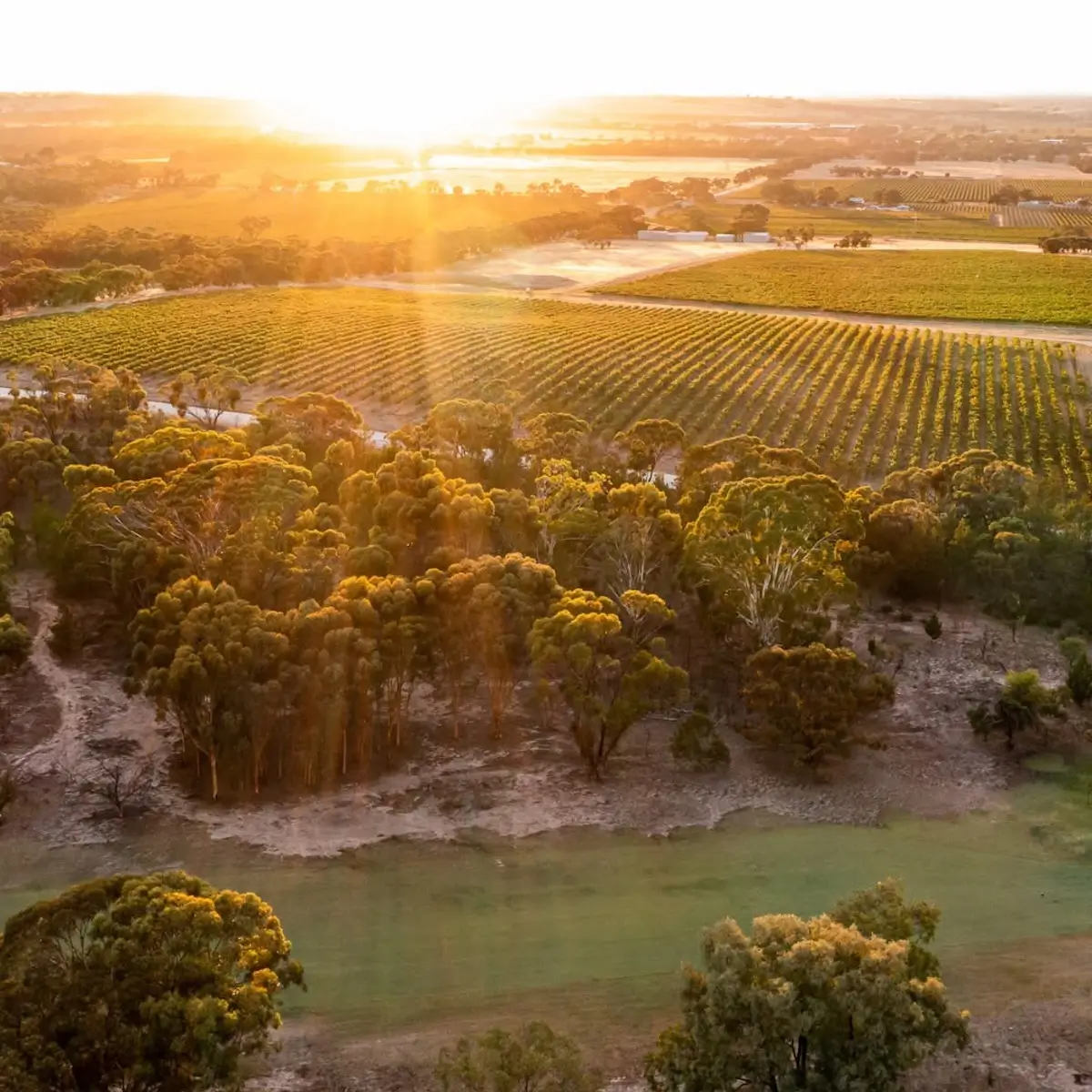 Barossa Valley Golf Club