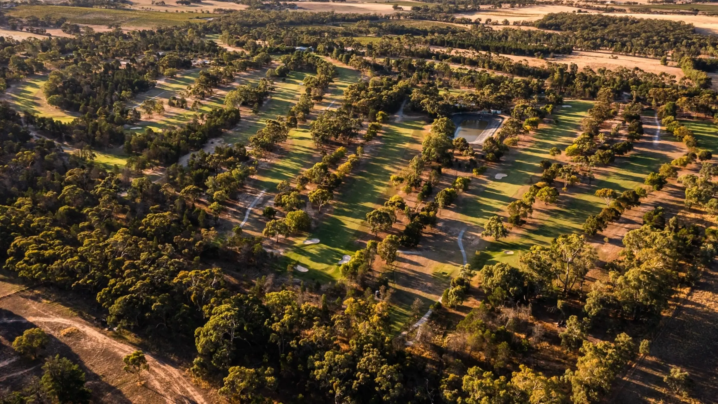Barossa Valley Golf Club