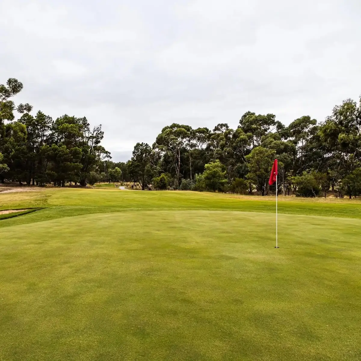 Barossa Valley Golf Club