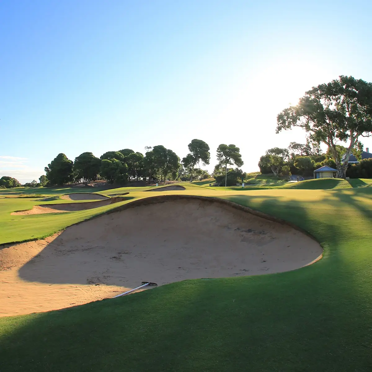 Kooyonga Golf Club