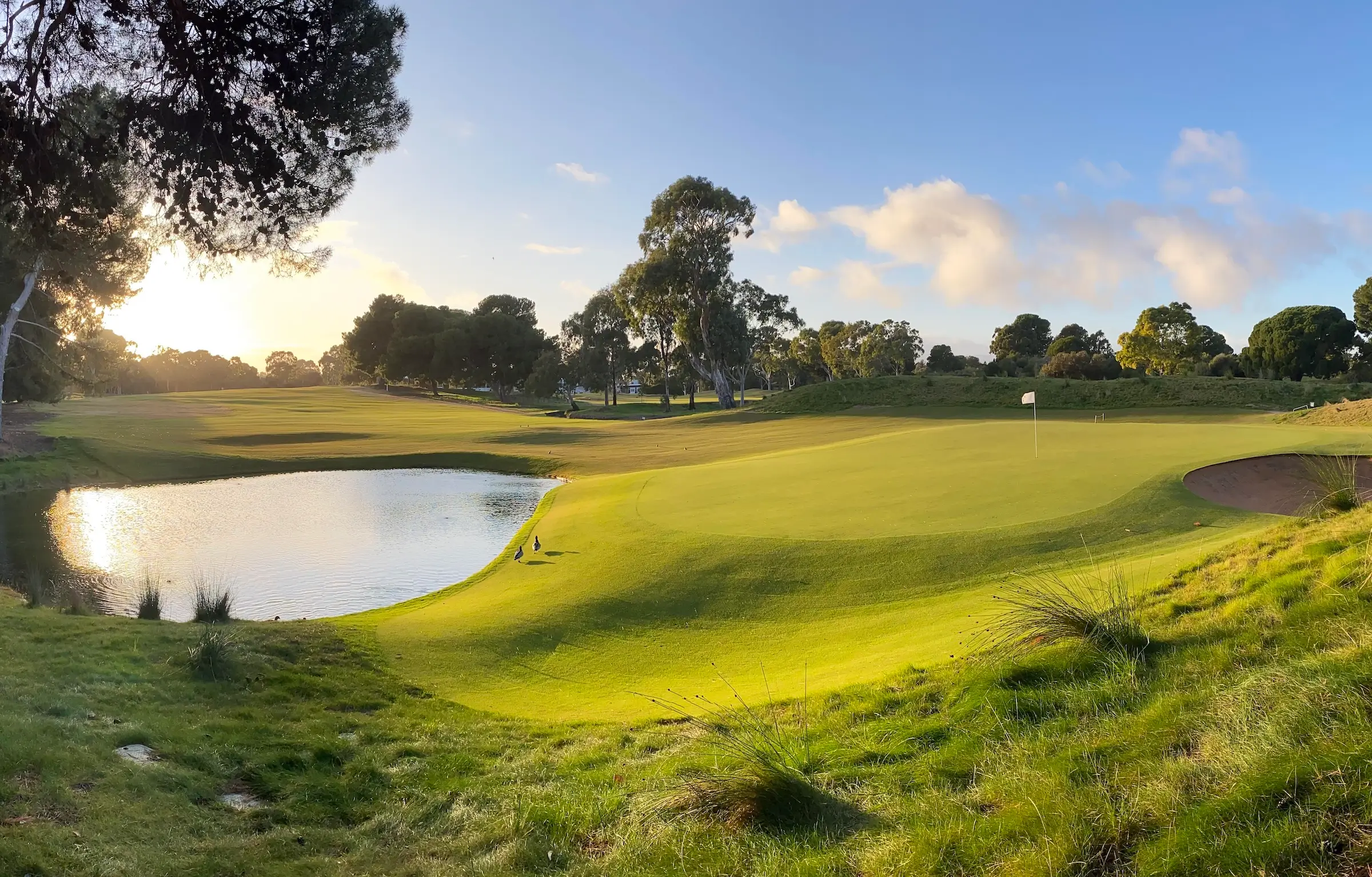 Kooyonga Golf Club