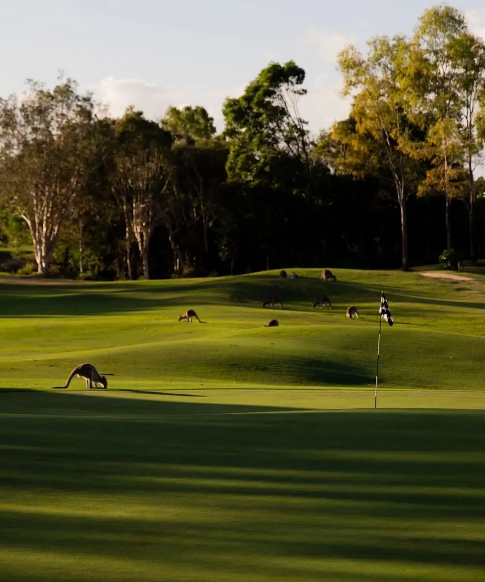 Pacific Harbour Golf & Country Club