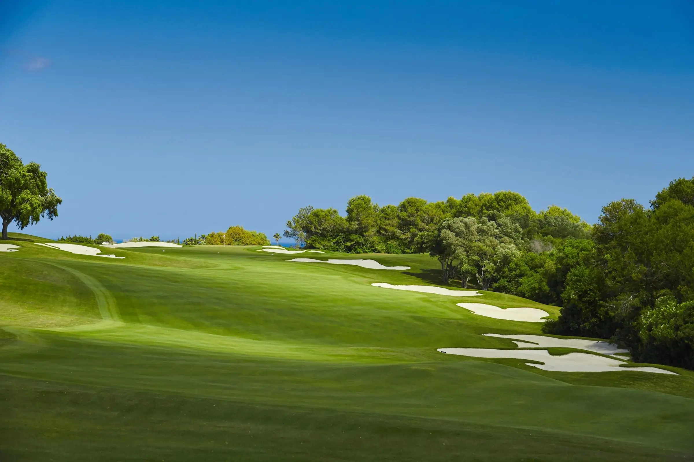 Real Club Valderrama