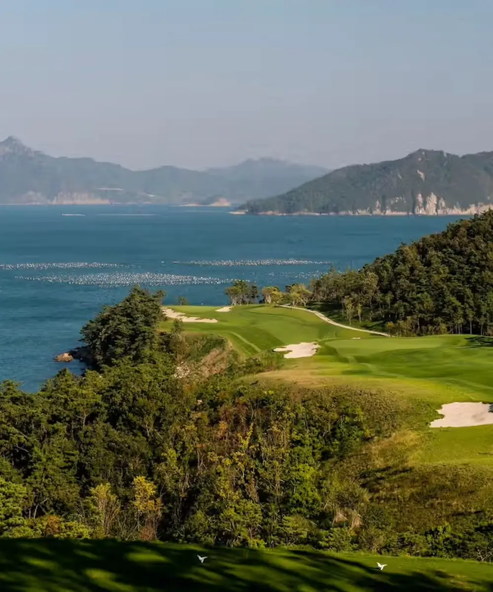 South Cape Owner's Club