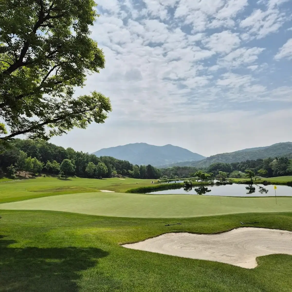Wellington Country Club