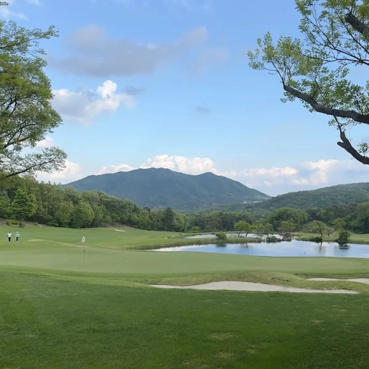 Wellington Country Club