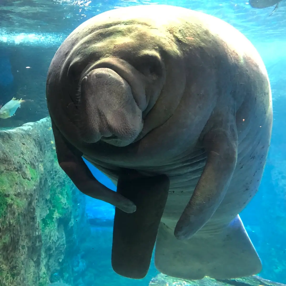 Dallas World Aquarium