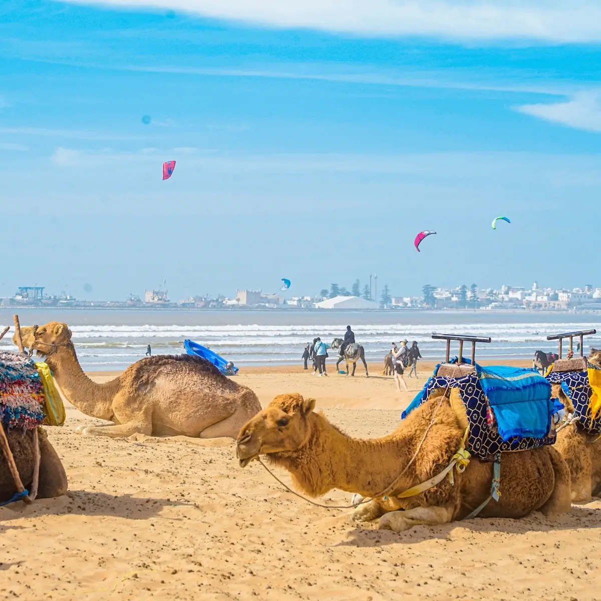 Essaouira