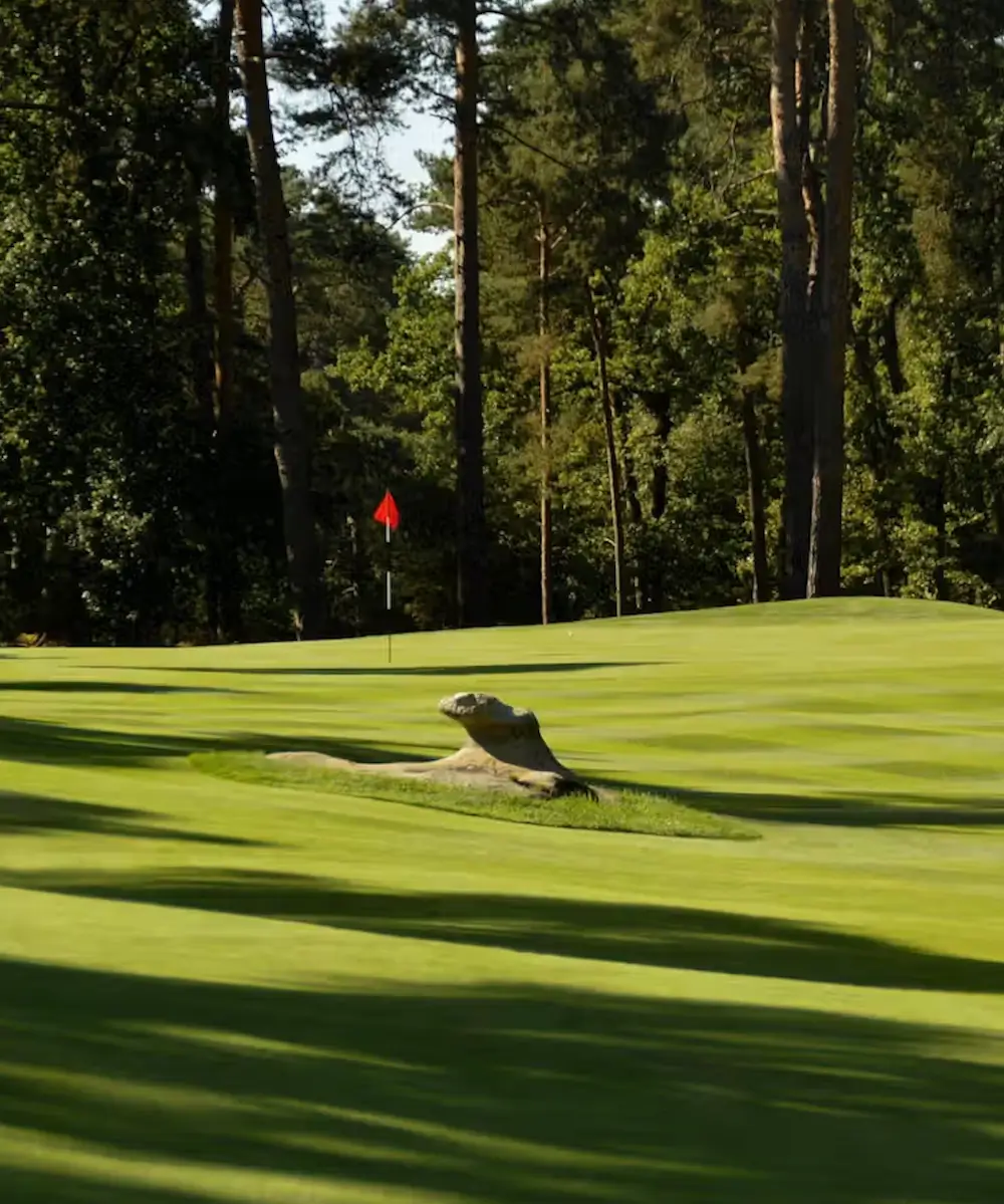 Golf de Morfontaine